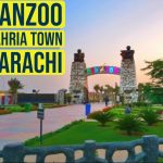 Danzoo